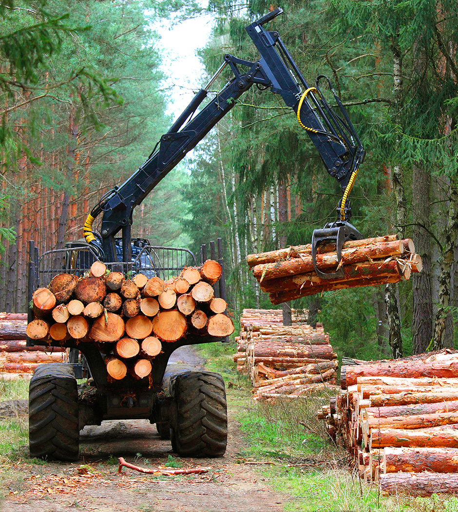 Hydraulic Cylinders for Log Splitters, Brush Cutters and Other Forestry Machines
